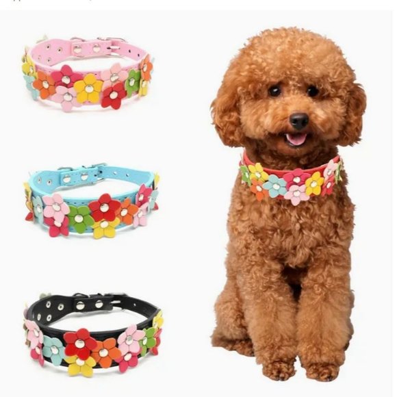 Della Terese Colorful Flowers on Black Dog Collar Size Small - Picture 2 of 7